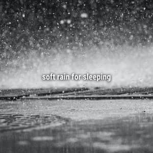 soft rain for sleeping - Sound Effects Library