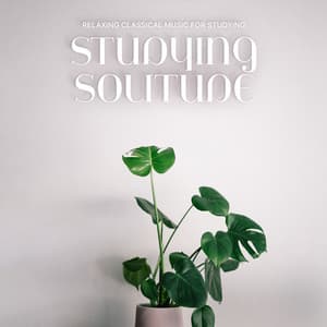 Studying Solitude - Relaxing Classical Music For Studying