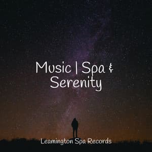 Music | Spa & Serenity - The Sleep Principle