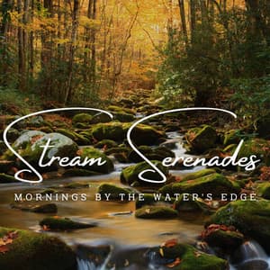 Aqua Java Jams: Stream Serenades for Coffee Lounge - Waves in Regression