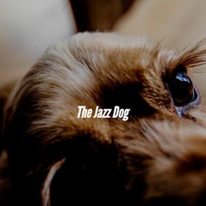 The Jazz Dog - Calm Dog Music
