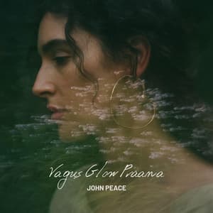 Vagus Glow Praana - John Peace