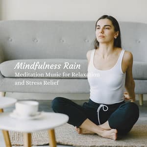 Mindfulness Rain: Meditation Music for Relaxation and Stress Relief - The Rain Library