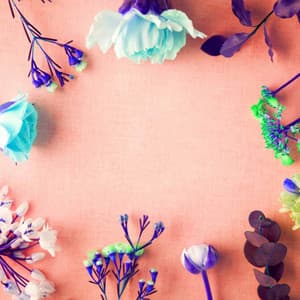 Feelings for Chill Out Reflections - Family Dinner