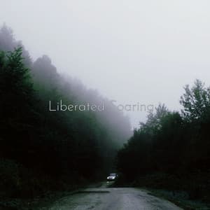 Liberated Soaring - Cosmic Thought