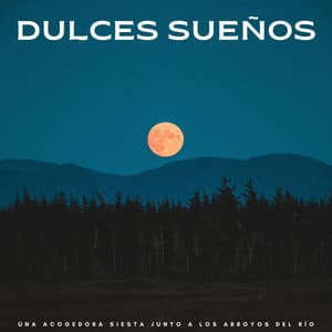 Dulces Sueños: Una Acogedora Siesta Junto A Los Arroyos Del Río - Dormir Bien