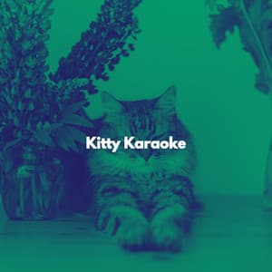 Kitty Karaoke - Cat Music Therapy