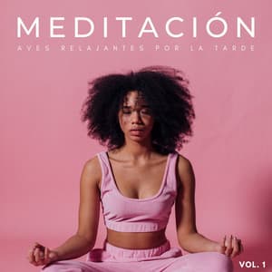 Meditación: Aves Relajantes Por La Tarde Vol. 1 - Jardín del tiempo