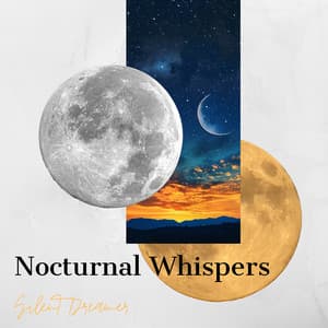 Nocturnal Whispers: 432 Hz Dreaming Waves - Silent Dreamer