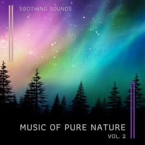 Music of Pure Nature vol. 2 - Soothing Air
