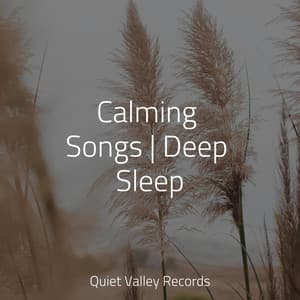 Calming Songs | Deep Sleep - Naturaleza Sonidos