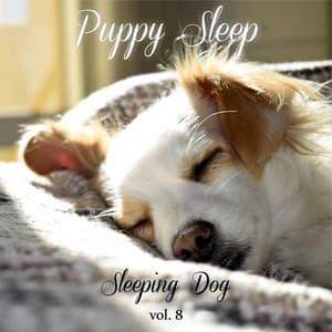 Sleeping Dog Volume 8 - Puppy Sleep