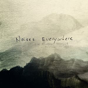 Noises Everywhere: Field Recordings Reimagined - Adam Bokesch