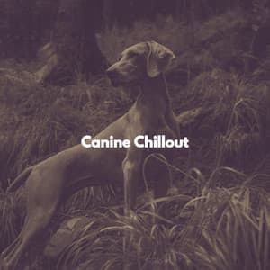 Canine Chillout - Atmospheric Coffee House Music