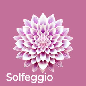 Solfeggio Frequencies Chakra Healing - Chakra Balancing 101