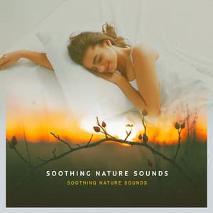 Soothing Nature Sounds - Soothing Nature Sounds