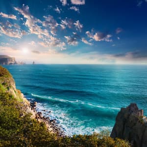 Momentos De Calma: Flujo De Música Reconfortante - Tulipanes rosas