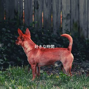 好きな時間 - Morgen Jazz