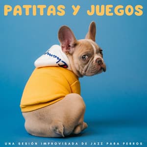 Patitas Y Juegos: Una Sesión Improvisada De Jazz Para Perros - Vibraciones de jazz de Nueva York