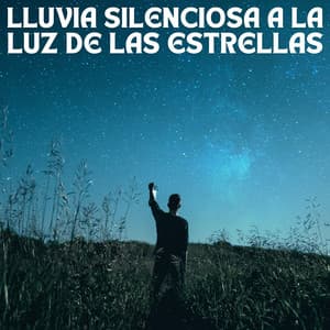 Lluvia Silenciosa A La Luz De Las Estrellas - Muestreo de lluvia profunda