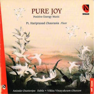 Pure Joy - Pandit Hariprasad Chaurasia