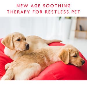 Make Your Dog Calm – New Age Soothing Therapy for Restless Pet - Pets Music