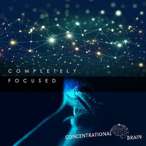 Completely Focused - Concentrational Brain
