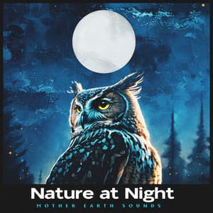 Nature at Night - Mother Earth Sounds