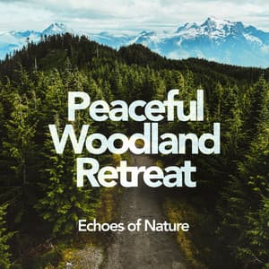 Peaceful Woodland Retreat - Echoes Of Nature