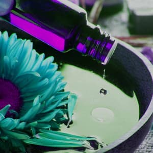 Suave Backdrop for Reflection Sounds - Jazz Cafe Music