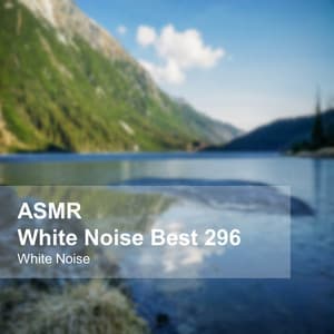 White Noise ASMR Best 296 - White Noise