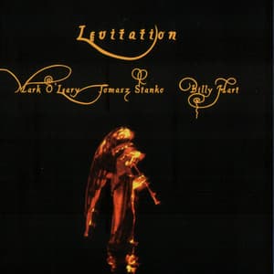 Levitation - Mark O'Leary