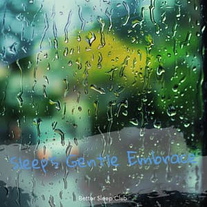Sleep's Gentle Embrace - Better Sleep Club