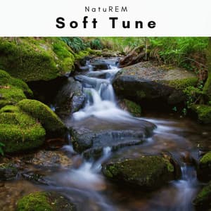 A Soft Tune - NatuREM
