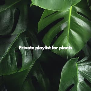 Private playlist for plants - Classic Jazz