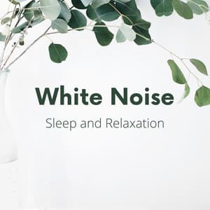 White Noise for Sleep and Relaxation - White Noise Playlist