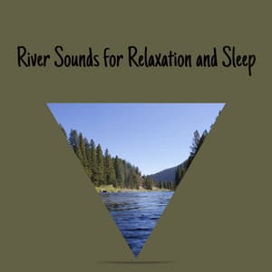 River Sounds for Relaxation and Sleep - River Sounds Collective