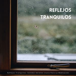 Reflejos Tranquilos: Sonidos Serenos Lluvia Para La Meditación - Meditación de lluvia