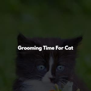 Grooming Time For Cat - Jazz Cafe Bar Ambiance