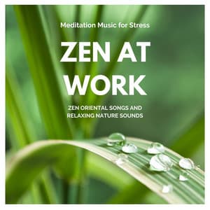 Zen at Work: Meditation Music for Stress, Zen Oriental Songs and Relaxing Nature Sounds - Asian Chillout Music Collective