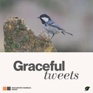 Graceful Tweets - Sounds of the Forest