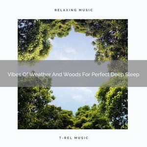 Vibes Of Weather And Woods For Perfect Deep Sleep - Sea Waves Sounds