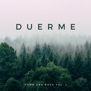 Duerme Como Una Roca Vol. 1 - Dulces Sueños