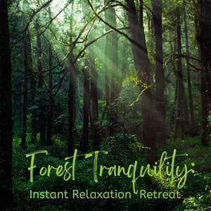 Forest Tranquility: Instant Relaxation Retreat - Nature & Rainforest Sounds Collective