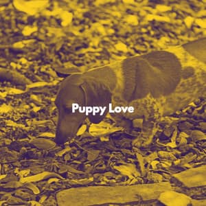 Puppy Love - Relaxing Music Vibes Deluxe