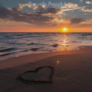 Naturally Peaceful - Peaceful Ambeint Sounds