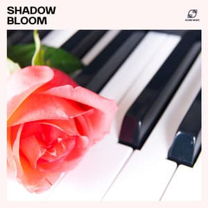 Shadow Bloom: Solo Piano Playlist - Piano Music Zone