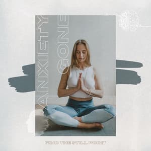 Find the Still Point - Anxiety Gone
