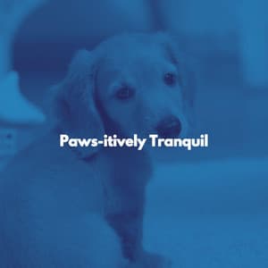 Paws-itively Tranquil - Morgen Jazz Ambiente