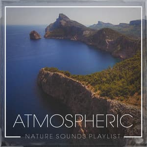 Atmospheric nature sounds playlist - Nature Sound Collection